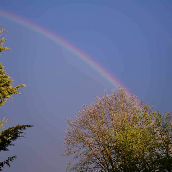 Regenbogen1a